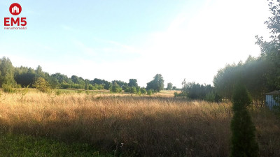 Działka Letniki  z potencjałem 2954m2 - Letniki  -
PODLASKIE Zdjęcie nr 2