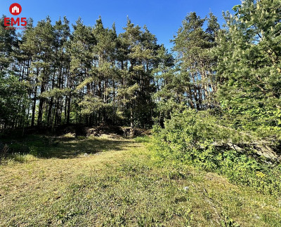 Działka w Sochoniach Polecam - Sochonie  -
PODLASKIE Zdjęcie nr 4