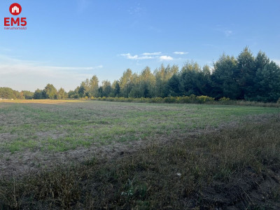 Działka rolna ok 2 ha w gminie Czyże - Morze  -
PODLASKIE Zdjęcie nr 2