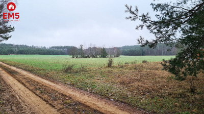 Działka 1743 Pieńki - Pieńki  -
PODLASKIE Zdjęcie nr 12