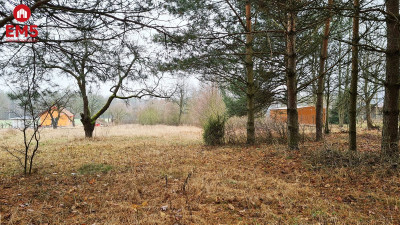Działka 1743 Pieńki - Pieńki  -
PODLASKIE Zdjęcie nr 5