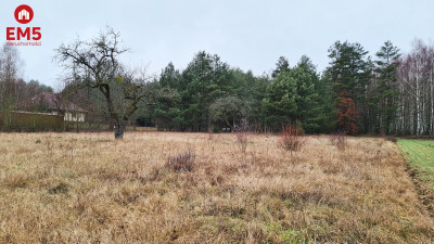 Działka 1743 Pieńki - Pieńki  -
PODLASKIE Zdjęcie nr 8