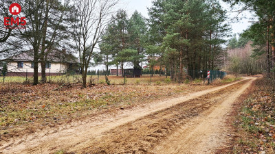 Działka 1911 Pieńki - Pieńki  -
PODLASKIE Zdjęcie nr 2