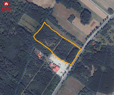 Na sprzedaż działka inwestycyjna
- Chreptowce  -
PODLASKIE Zdjęcie nr 7