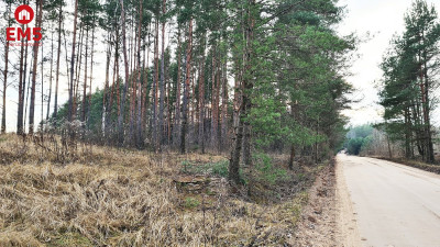 Działka 8500 m2 Jurowce - Jurowce  -
PODLASKIE Zdjęcie nr 2
