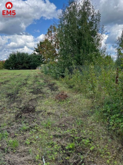 Działka rolno-budowlana na sprzedaż - Zagruszany  -
PODLASKIE Zdjęcie nr 5