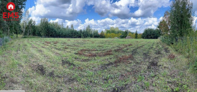 Działka rolno-budowlana na sprzedaż - Zagruszany  -
PODLASKIE Zdjęcie nr 6
