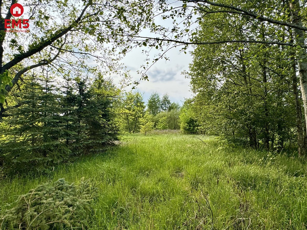 Działka w  Kosmatym Borku - Kosmaty Borek  -
PODLASKIE Zdjęcie nr 1