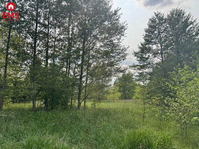 Działka w  Kosmatym Borku - Kosmaty Borek  -
PODLASKIE Zdjęcie nr 2