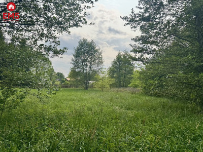 Działka w  Kosmatym Borku - Kosmaty Borek  -
PODLASKIE Zdjęcie nr 3