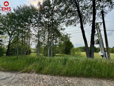 Działka w  Kosmatym Borku - Kosmaty Borek  -
PODLASKIE Zdjęcie nr 5