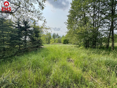 Działka w  Kosmatym Borku - Kosmaty Borek  -
PODLASKIE Zdjęcie nr 7
