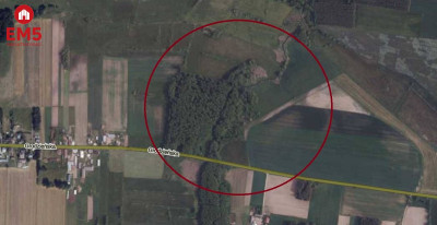 Jasionówka działka z potencjałem - Jasionówka  -
PODLASKIE Zdjęcie nr 2