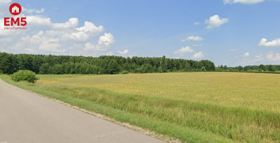 Jasionówka działka z potencjałem - Jasionówka  -
PODLASKIE Zdjęcie nr 6