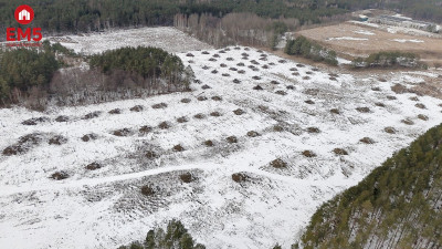 Działka przemysłowa 081 ha pod Wasilkowem - Wasilków  -
PODLASKIE