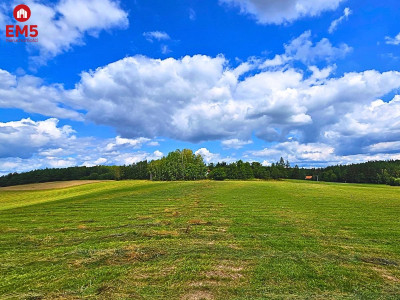 Działka budowlana Mazury - jezioro Pluszne - Mierki  -
WARMIŃSKO-MAZURSKIE Zdjęcie nr 4