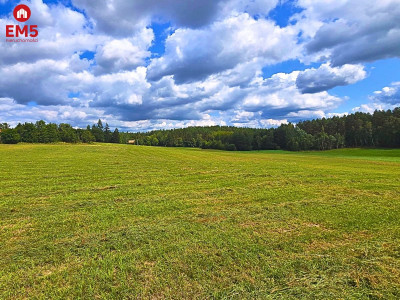 Działka budowlana Mazury - jezioro Pluszne - Mierki  -
WARMIŃSKO-MAZURSKIE Zdjęcie nr 6