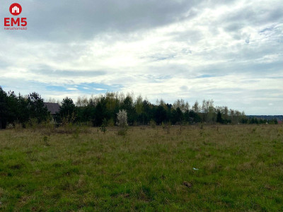 Działka w Porosłach  - Porosły  -
PODLASKIE Zdjęcie nr 4