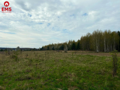 Działka w Porosłach  - Porosły  -
PODLASKIE Zdjęcie nr 5