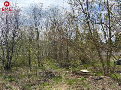 Działka w Nowodworcach  - Nowodworce  -
PODLASKIE Zdjęcie nr 3