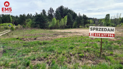 Działka budowlana 820 m2 Ciasne - Ciasne  -
PODLASKIE Zdjęcie nr 3