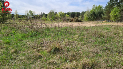 Działka budowlana 785 m2 Ciasne - Ciasne  -
PODLASKIE Zdjęcie nr 4