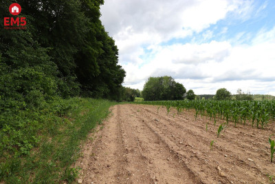 Działka na Mazurach blisko jeziora  - Rożyńsk Wielki  -
WARMIŃSKO-MAZURSKIE Zdjęcie nr 10