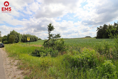 Działka na Mazurach blisko jeziora  - Rożyńsk Wielki  -
WARMIŃSKO-MAZURSKIE Zdjęcie nr 4