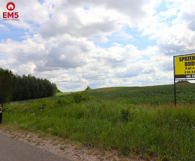 Działka na Mazurach blisko jeziora  - Rożyńsk Wielki  -
WARMIŃSKO-MAZURSKIE Zdjęcie nr 7