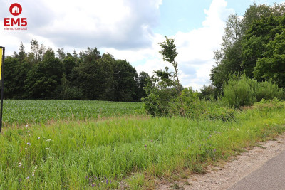 Działka na Mazurach blisko jeziora  - Rożyńsk Wielki  -
WARMIŃSKO-MAZURSKIE Zdjęcie nr 8