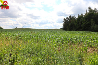 Działka na Mazurach blisko jeziora  - Rożyńsk Wielki  -
WARMIŃSKO-MAZURSKIE Zdjęcie nr 9
