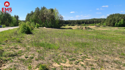 Działka przemysłowa 081 ha pod Wasilkowem - Wasilków  -
PODLASKIE Zdjęcie nr 11