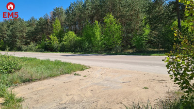 Działka przemysłowa 081 ha pod Wasilkowem - Wasilków  -
PODLASKIE Zdjęcie nr 2