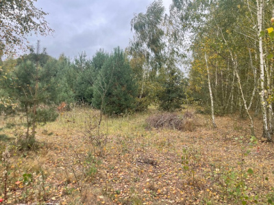 Działka budowlana Barcice Drwalewskie , gmina Chynów, powiat Grójec pow. 0,1058 ha -
Mazowieckie Zdjęcie nr 4