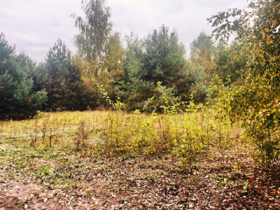 Działka budowlana Barcice Drwalewskie , gmina Chynów, powiat Grójec pow. 0,1100 ha -
Mazowieckie Zdjęcie nr 6
