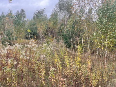 Działka budowlana Barcice Drwalewskie , gmina Chynów, powiat Grójec pow. 0,0431 ha -
Mazowieckie Zdjęcie nr 2