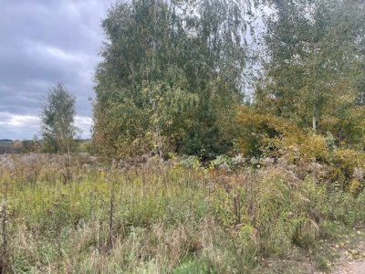 Działka budowlana Barcice Drwalewskie , gmina Chynów, powiat Grójec pow. 0,0012 ha -
Mazowieckie Zdjęcie nr 3