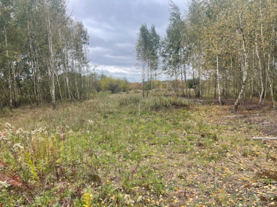 Działka budowlana Barcice Drwalewskie , gmina Chynów, powiat Grójec pow. 0,0976 ha -
Mazowieckie Zdjęcie nr 4