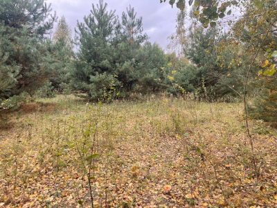 Działka budowlana Barcice Drwalewskie , gmina Chynów, powiat Grójec pow. 0,0976 ha - Mazowieckie
