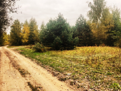 Działka budowlana Barcice Drwalewskie , gmina Chynów, powiat Grójec pow. 0,1378 ha -
Mazowieckie Zdjęcie nr 4