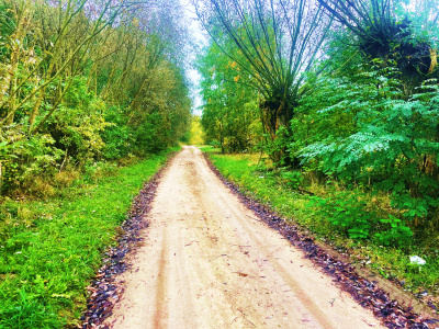 Działka budowlana Barcice Drwalewskie , gmina Chynów, powiat Grójec pow. 0,0900 ha -
Mazowieckie Zdjęcie nr 7