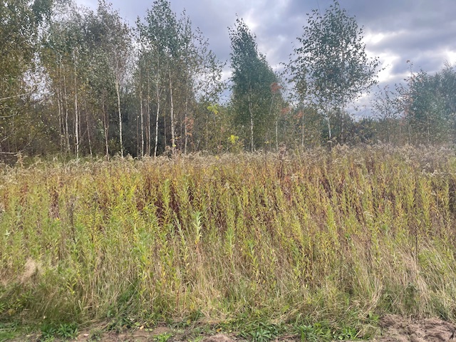 Działka budowlana Barcice Drwalewskie , gmina Chynów, powiat Grójec pow. 0,1137 ha -
Mazowieckie Zdjęcie nr 1