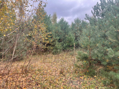 Działka budowlana Barcice Drwalewskie , gmina Chynów, powiat Grójec pow. 0,1058 ha -
Mazowieckie Zdjęcie nr 2