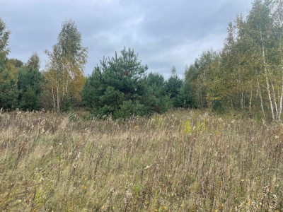 Działka budowlana Barcice Drwalewskie , gmina Chynów, powiat Grójec pow. 0,0012 ha -
Mazowieckie Zdjęcie nr 2
