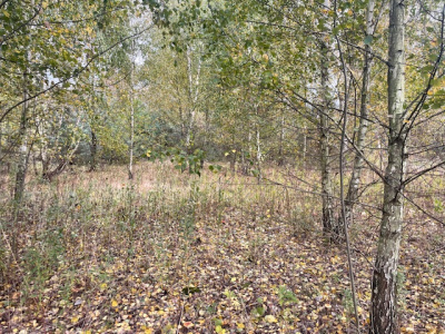 Działka budowlana Barcice Drwalewskie , gmina Chynów, powiat Grójec pow. 0,1108 ha -
Mazowieckie Zdjęcie nr 2