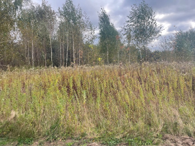 Działka budowlana Barcice Drwalewskie , gmina Chynów, powiat Grójec pow. 0,1050 ha -
Mazowieckie Zdjęcie nr 2