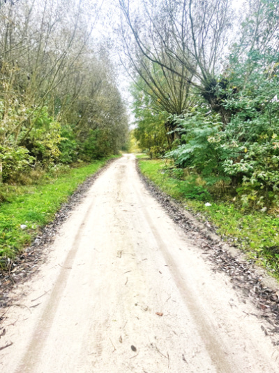 Działka budowlana Barcice Drwalewskie , gmina Chynów, powiat Grójec pow. 0,1100 ha -
Mazowieckie Zdjęcie nr 6