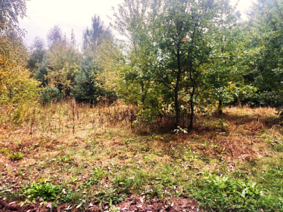 Działka budowlana Barcice Drwalewskie , gmina Chynów, powiat Grójec pow. 0,1026ha -
Mazowieckie Zdjęcie nr 3