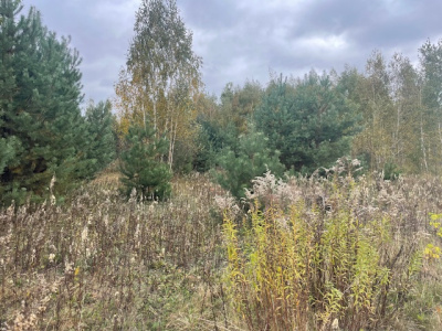 Działka budowlana Barcice Drwalewskie , gmina Chynów, powiat Grójec pow. 0,1058 ha - Mazowieckie