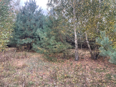 Działka budowlana Barcice Drwalewskie , gmina Chynów, powiat Grójec pow. 0,1137 ha -
Mazowieckie Zdjęcie nr 3